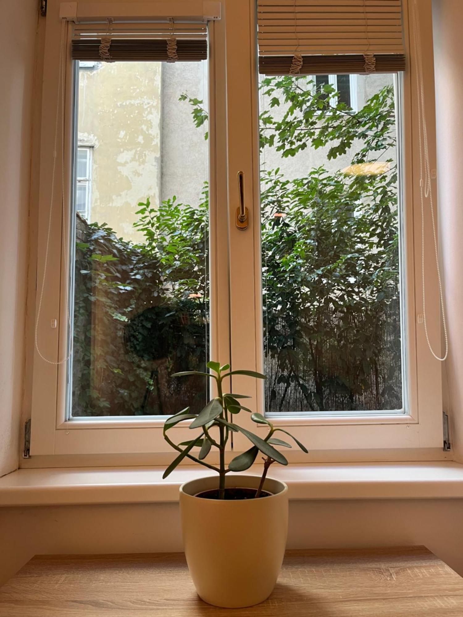 Quiet Apartment Next To Belvedere & Central Station Wien Exterior foto